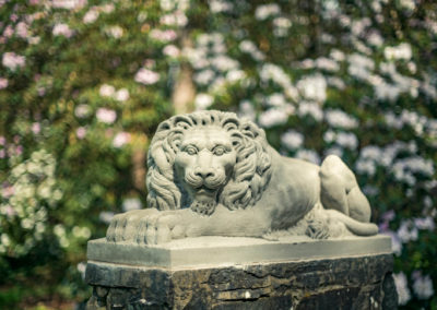 Replica sculpted lions in place ready for renaming