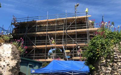 Reading Abbey Conservation Works Continues