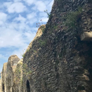 Reading Abbey Ruins
