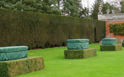 Protect your heritage this winter