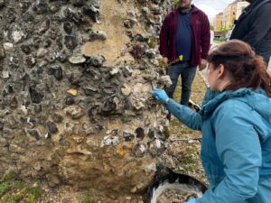 Lime mortar training day at Reading Abbey Ruins