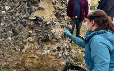 Hot Mixed Lime Training Day 1st October 2025