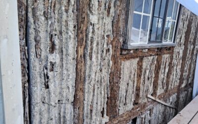 Works to save the historic Walpole Old Chapel is under way