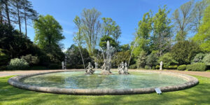 Fountain with water feature