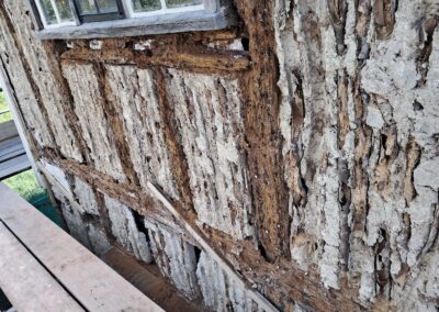 Exposed oak frame showing insect damage.