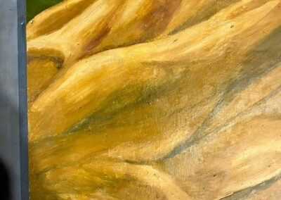 Detail of the conserved painted surface after retouching.