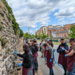 Lime mortar training day at Reading Abbey Ruins