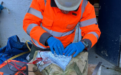 Nano Electro Application Technique (NEAT) to be incorporated into heritage lime training day.